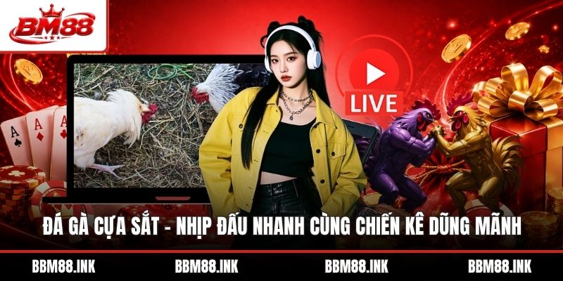 Đá Gà Cựa Sắt