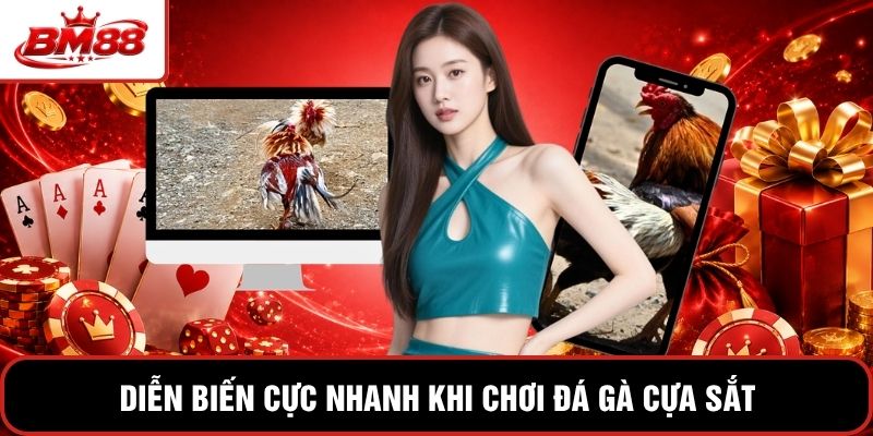 Diễn biến cực nhanh khi chơi đá gà cựa sắt